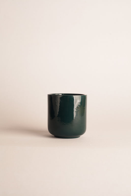Vaso Pavo